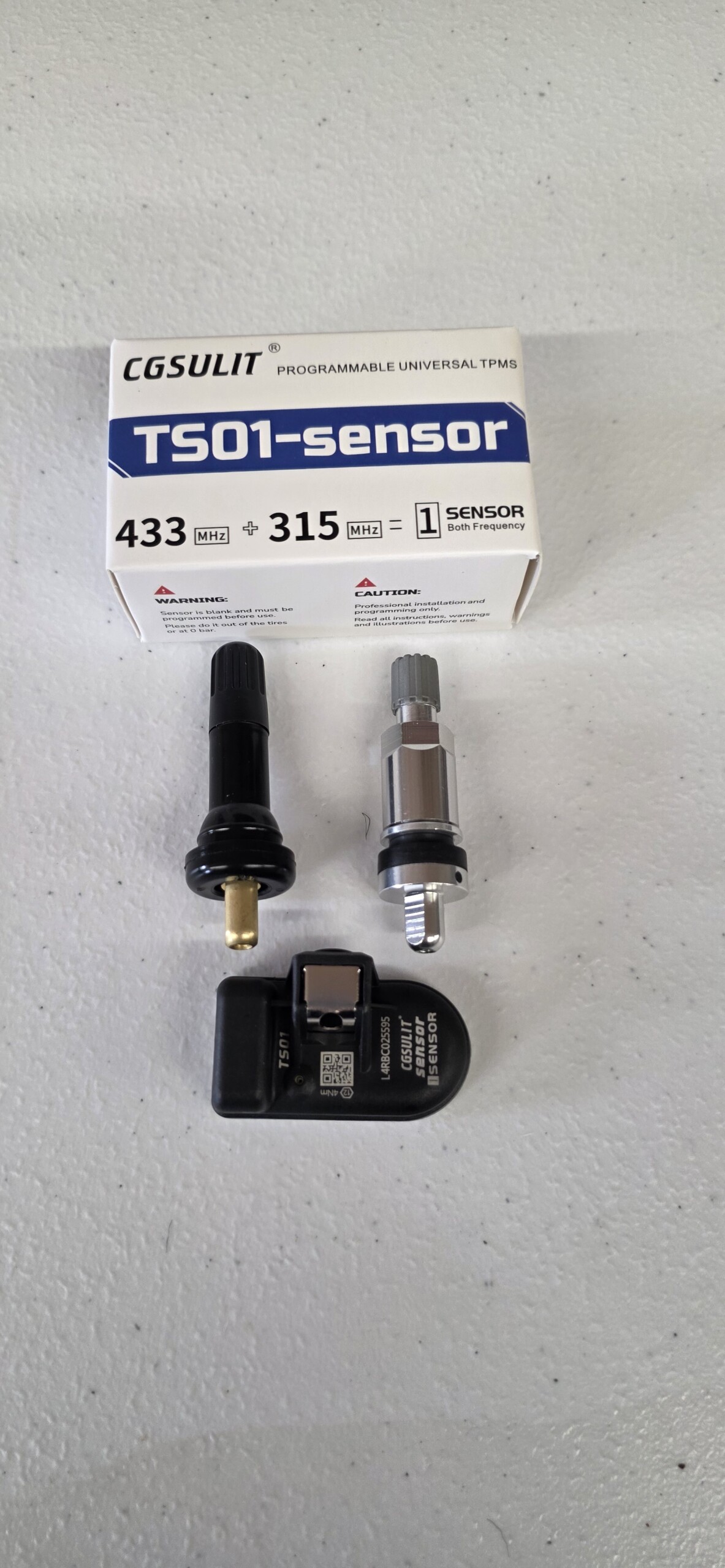 TS01